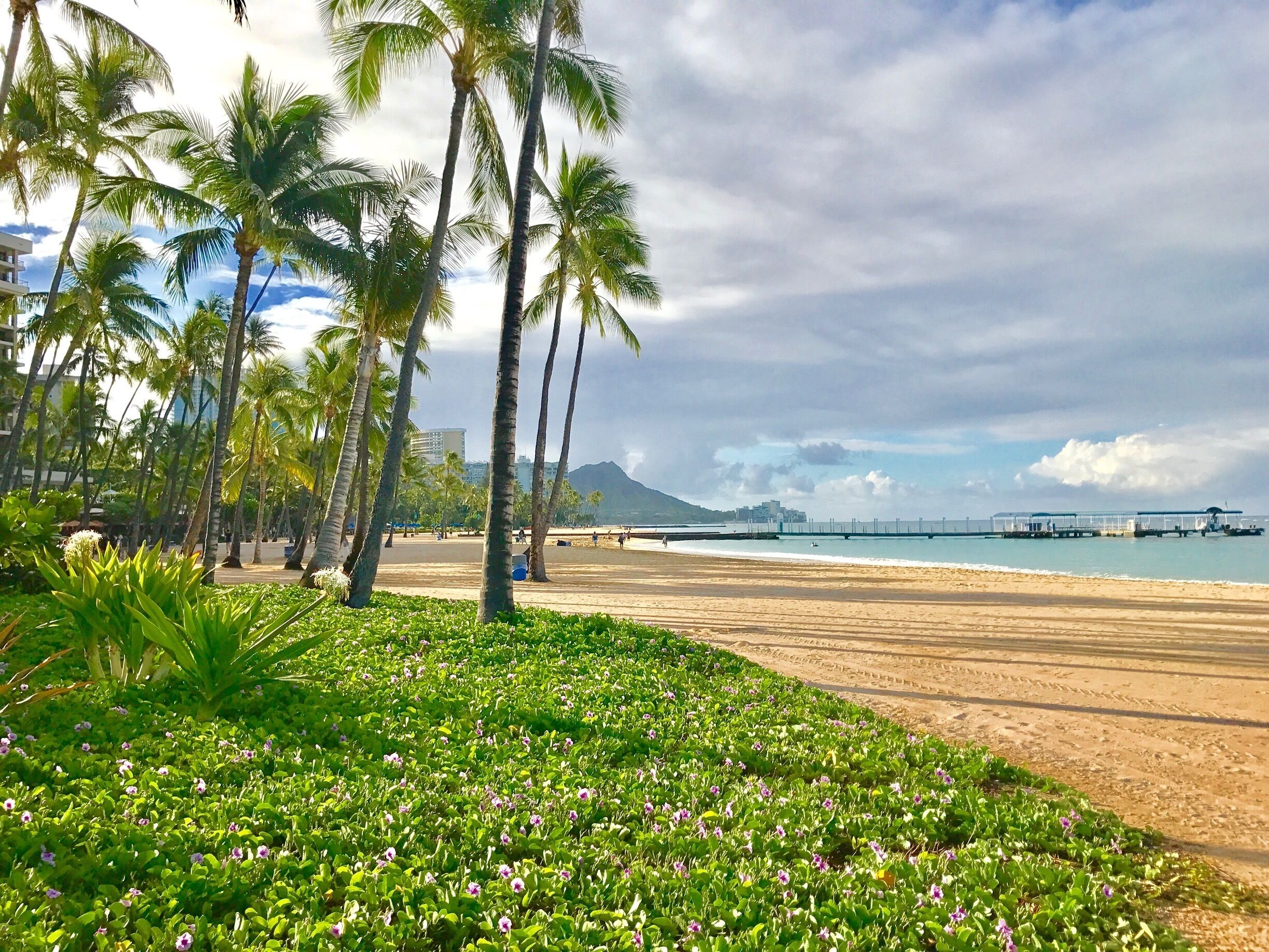デューク カハナモク ビーチ