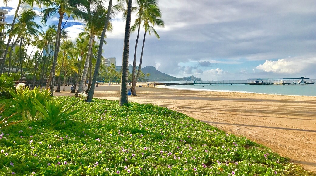Duke Kahanamoku Beach