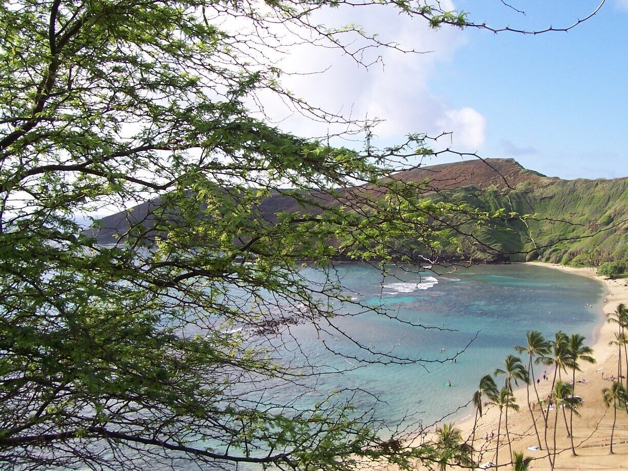Pretty Hawaiian beach, near Maunalua Bay.