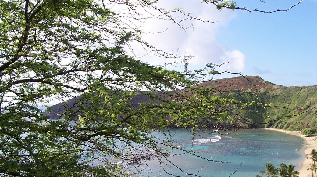 Pretty Hawaiian beach, near Maunalua Bay.
