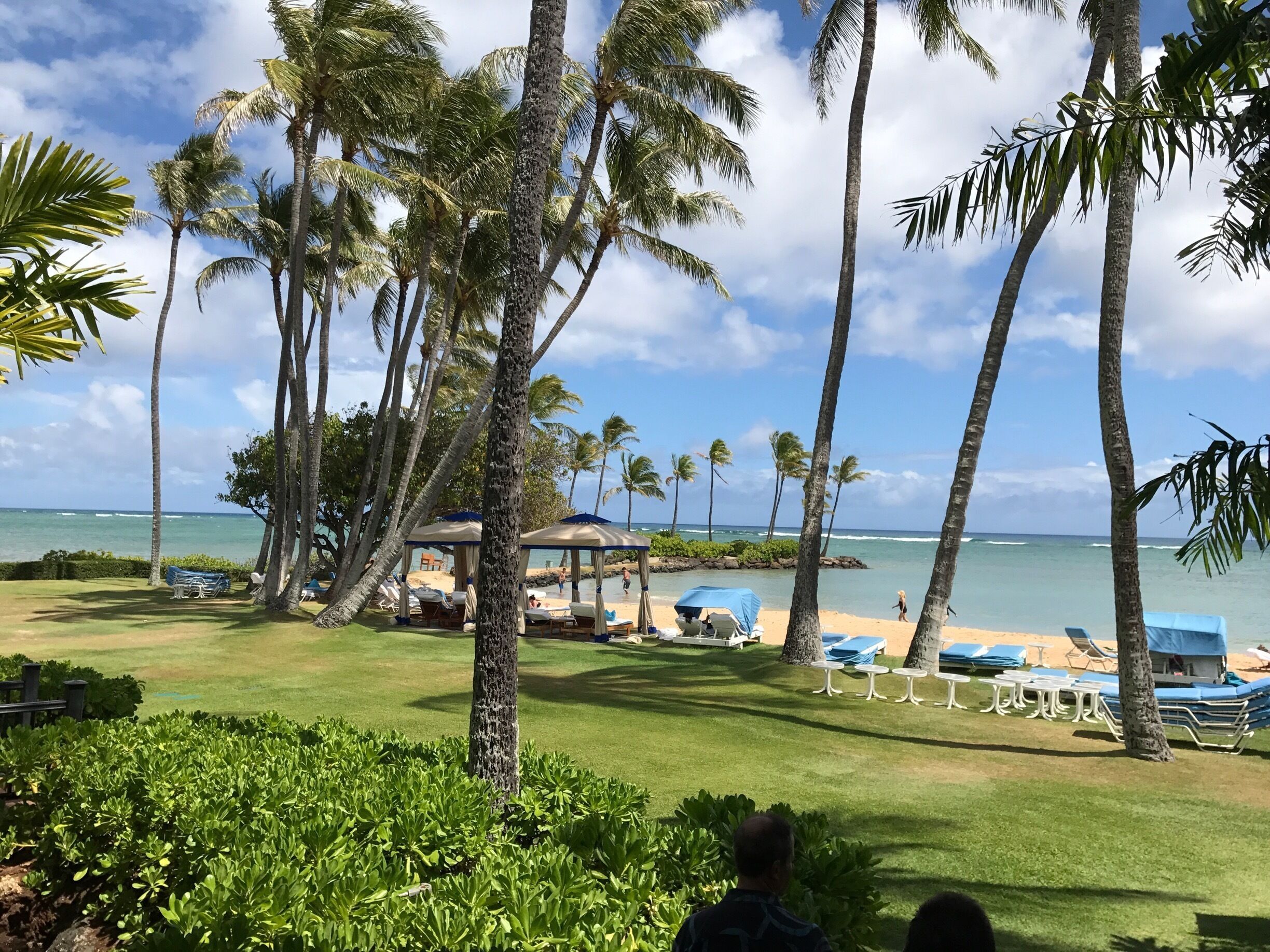 In Hawaii this is their #GreatOutdoors...the beautiful waters with the nice palm trees.  I love this hotel and this view of the almost private beach/area is to die for! You can get this by renting their suite.  They also have #Dolphins on site.   #BucketList #NoFilter