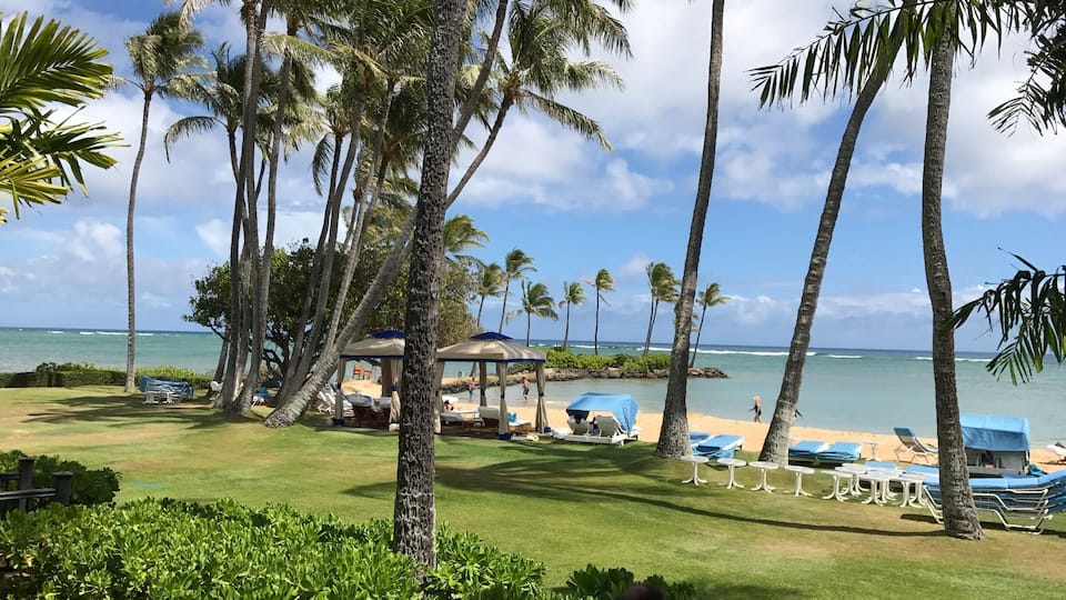 In Hawaii this is their #GreatOutdoors...the beautiful waters with the nice palm trees. I love this hotel and this view of the almost private beach/area is to die for! You can get this by renting their suite. They also have #Dolphins on site. #BucketList #NoFilter
