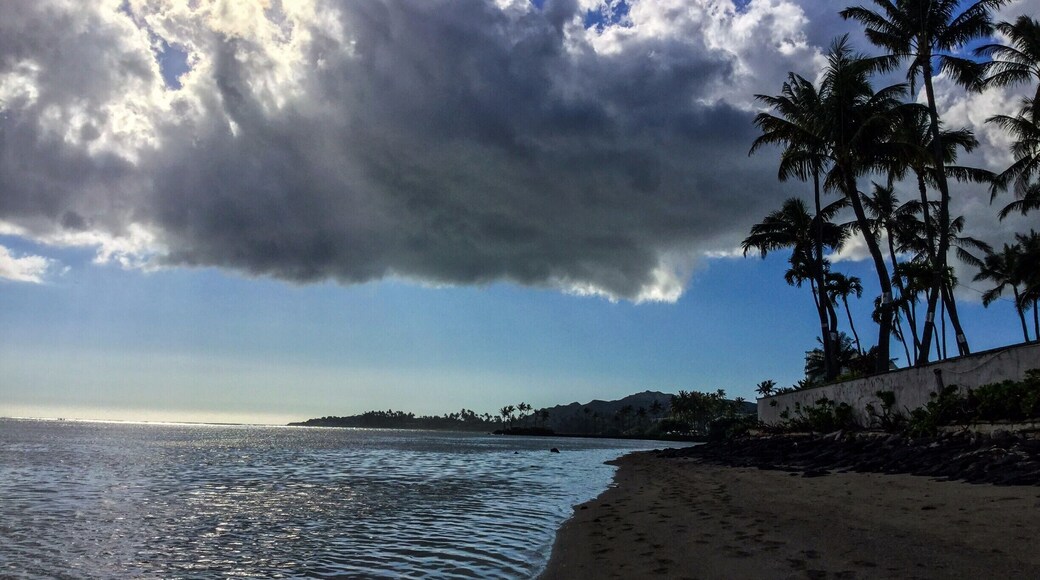 What wisdom can you find that is greater than kindness?
Jean-Jacques Rousseau
Too true, and with that thought I would like to thank the wisdom of my brother and his wife who through their great kindness bring their families together in beautiful Hawaii. Without their great wisdom/kindness I wouldn't be able to see some very special places on Earth.
Interestingly, the first night at the resort, President Obama decided to have dinner at Hoku's situated here . He had a large partition that separated the main dining area from him, but I did manage to catch a glimpse of him when he headed to the bathroom. Yes, heads of state must go to the loo just like the rest of us. And, although being scanned to go into the restaurant was a bit weird, it added a great ambience to an already fantastic meal. Scanning the room watching all the secret service agents dressed in casual Hawaiian wear was also quite entertaining.
Hoku's restaurant
http://www.kahalaresort.com/honolulu_restaurants/hokus/
http://www.washingtonexaminer.com/obamas-4-12-hour-dinner-in-hawaii/article/2579134?custom_click=rss