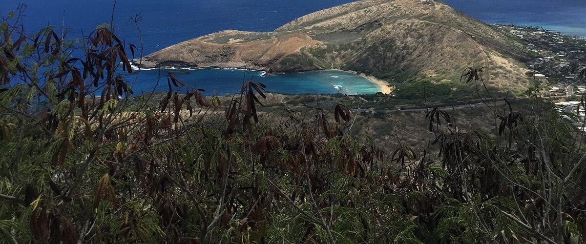Top of Koko head crater hike. #takeahike