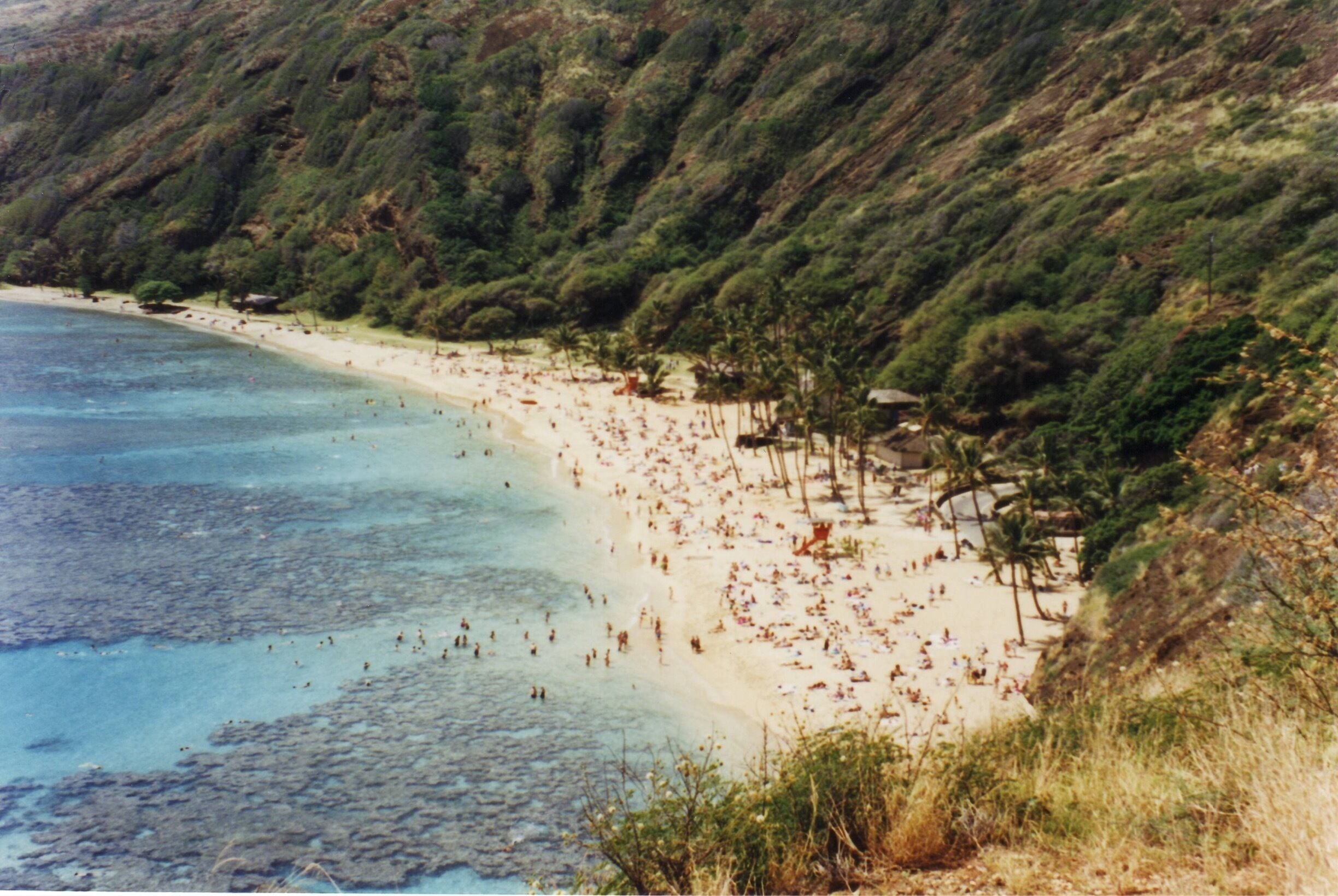 I love this place in Oahu. Take a hike up and see the beautiful view. 