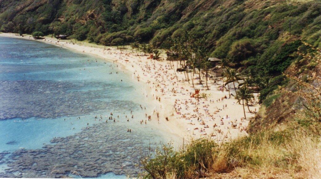 I love this place in Oahu. Take a hike up and see the beautiful view.