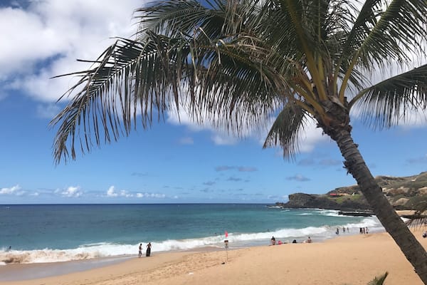 Une plage bordée de palmiers, avec les vagues de l’océan et des gens qui profitent du bord de mer.