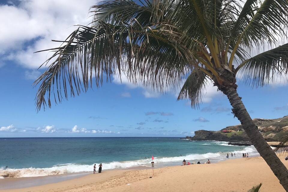 A beach with palm trees, ocean waves, and people enjoying the shore.