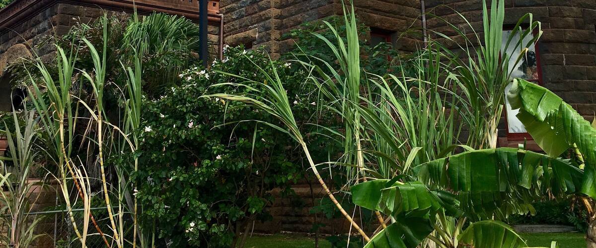 The Bishop Museum is the Hawaii State Cultural Museum and has collections to please everyone, from history to science to architecture. The original two buildings were built from lava rock that was sourced on site and are beautiful on their own. #lifeatexpedia