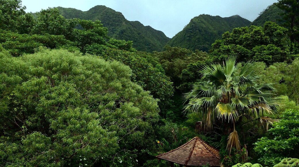 Lyon arboretum, Hawaii, Oahu