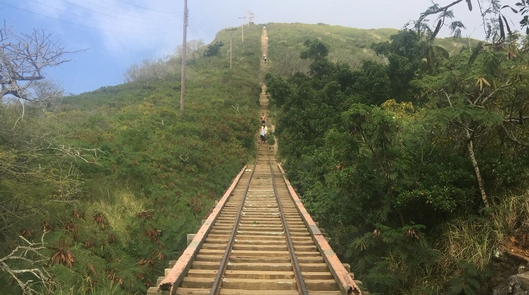 The scariest part of the trail ... Where the tracks lift off the ground!! Oh #kokohead #iconqueredyou 🏃🚶🏃🚶🏃🚶🏃🚶🏃🚶🏃🚶🏃🚶🏃🌋 #onlyinhawaii