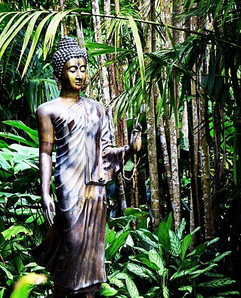 Easy excursion from Honolulu. Free entrance. Many trails and hundreds of tropical trees and plants. 