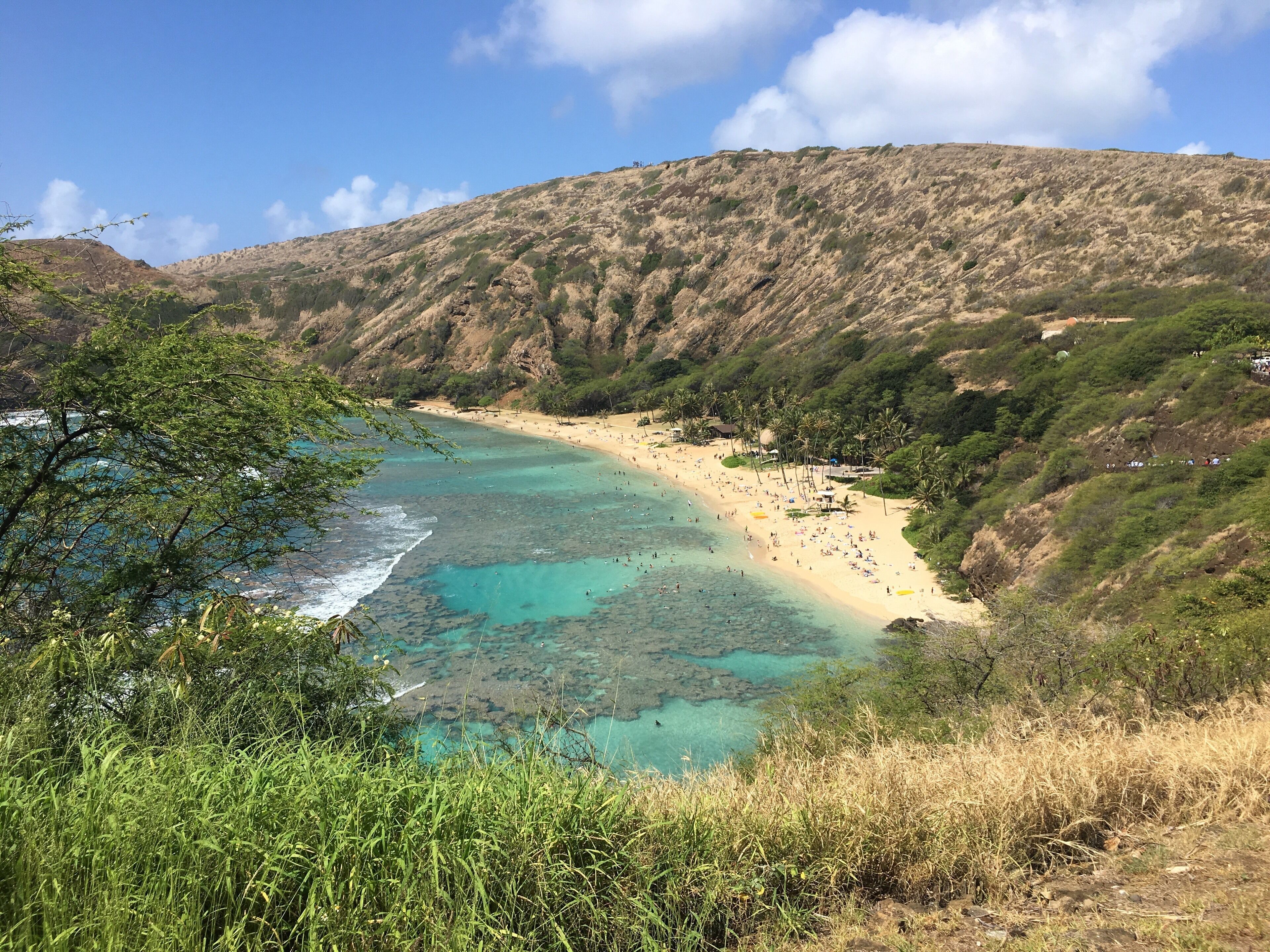 The not so secret cove, expect a little education before making your way down. Top tip; take the shuttle back up! 

#lifeatexpedia
#obsessedwothblueskies
#hanaumabay
#nature