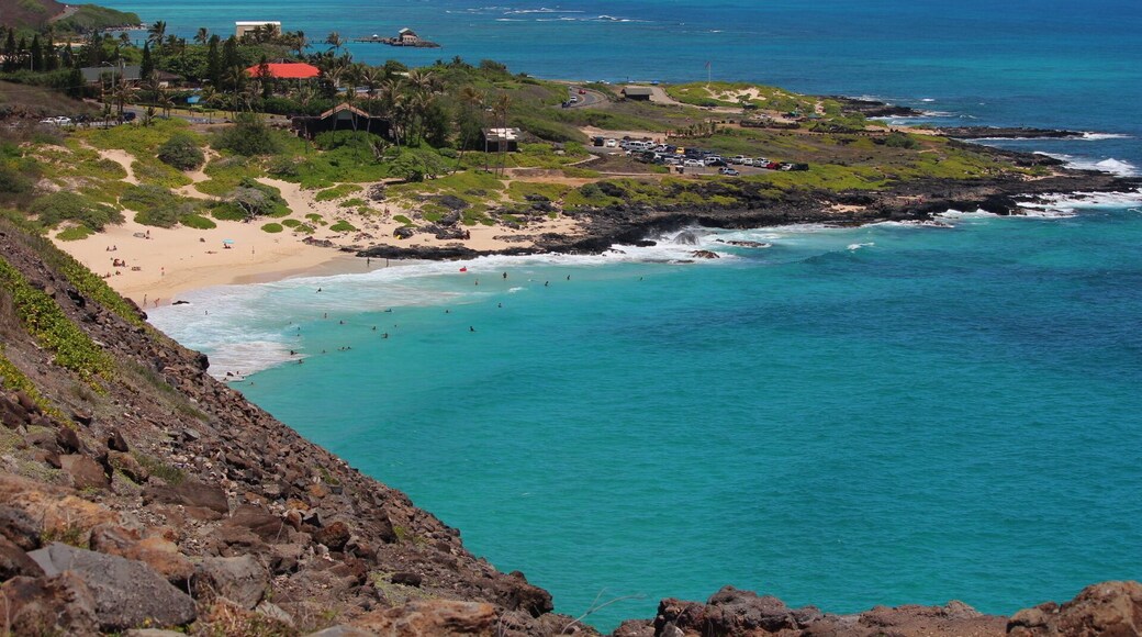 The Lilac Breasted Roller
Possibly one of the best photos I've taken. There is such a huge variety of different species of birds living in South Africa, but the lilac breasted roller has to be one of the most beautiful.
Shot on my birthday at Thornybush Game Reserve in Hoedspruit.
#colorful