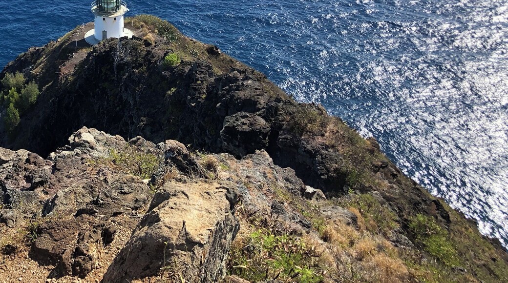 Early morning hike to start off the day :)