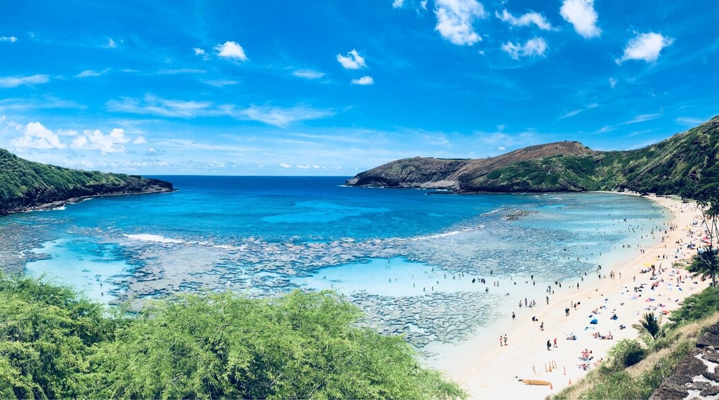 Hanauma Bay Beach