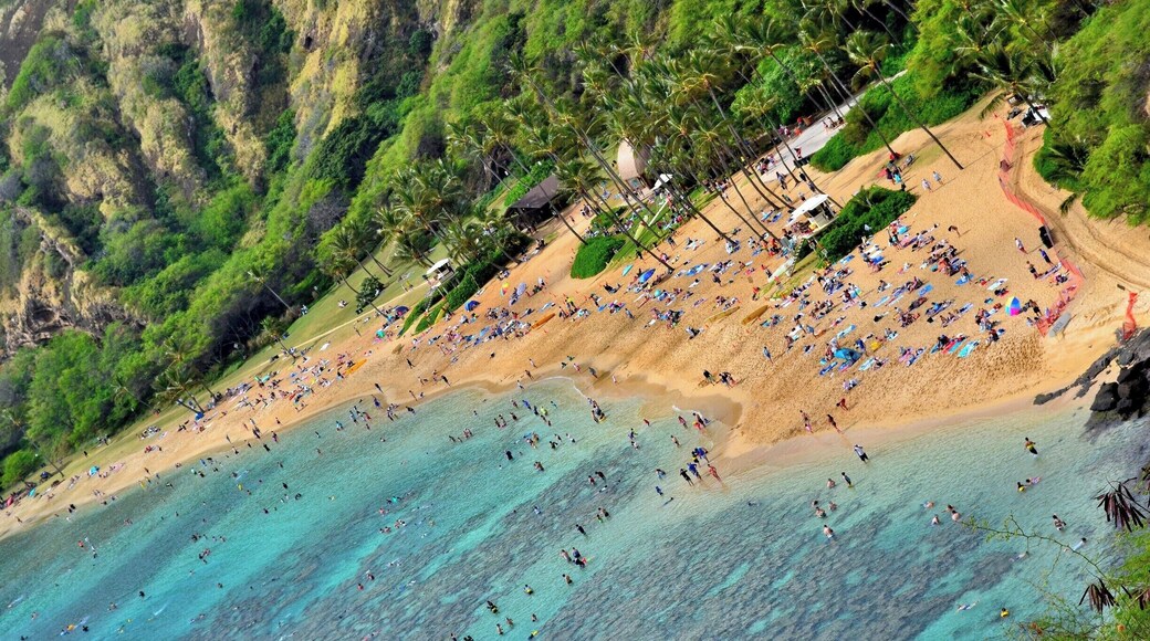 Good place to snorkel