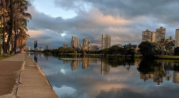 McCully - Moiliʻili