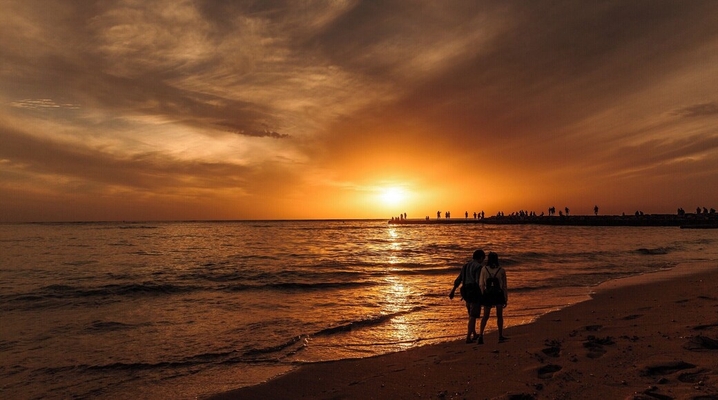 Waikiki Beach at Sunset in Honolulu Hawaii
#BeachTips