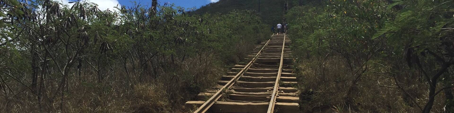 A railway track ascending a hill with dense vegetation on either side.