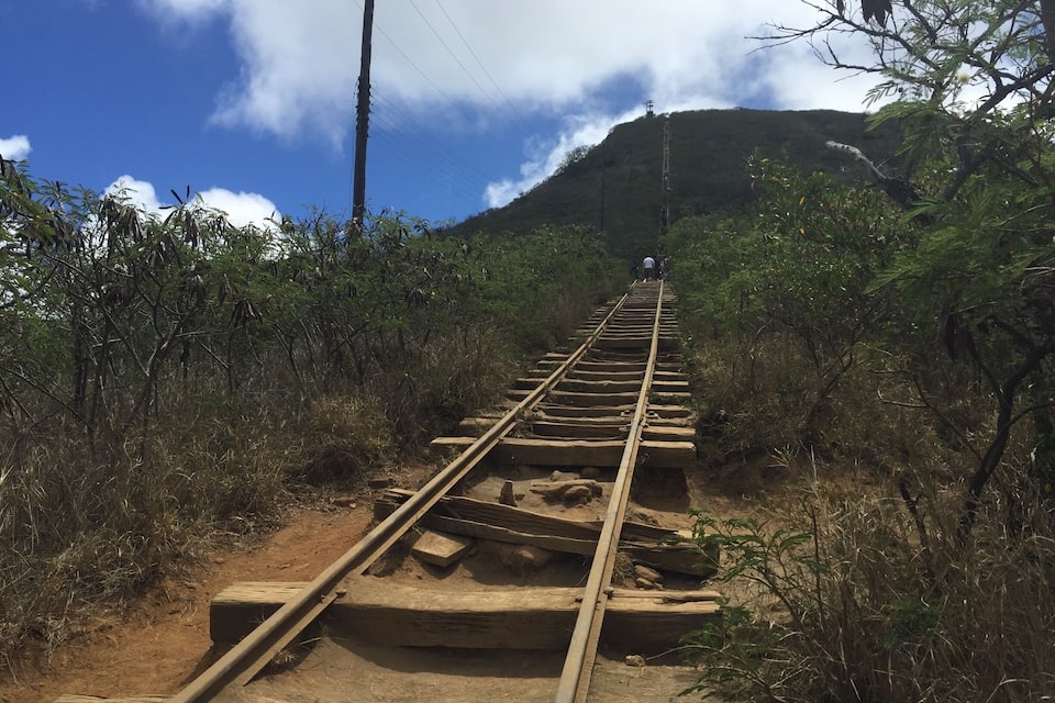 A railway track ascending a hill with dense vegetation on either side.