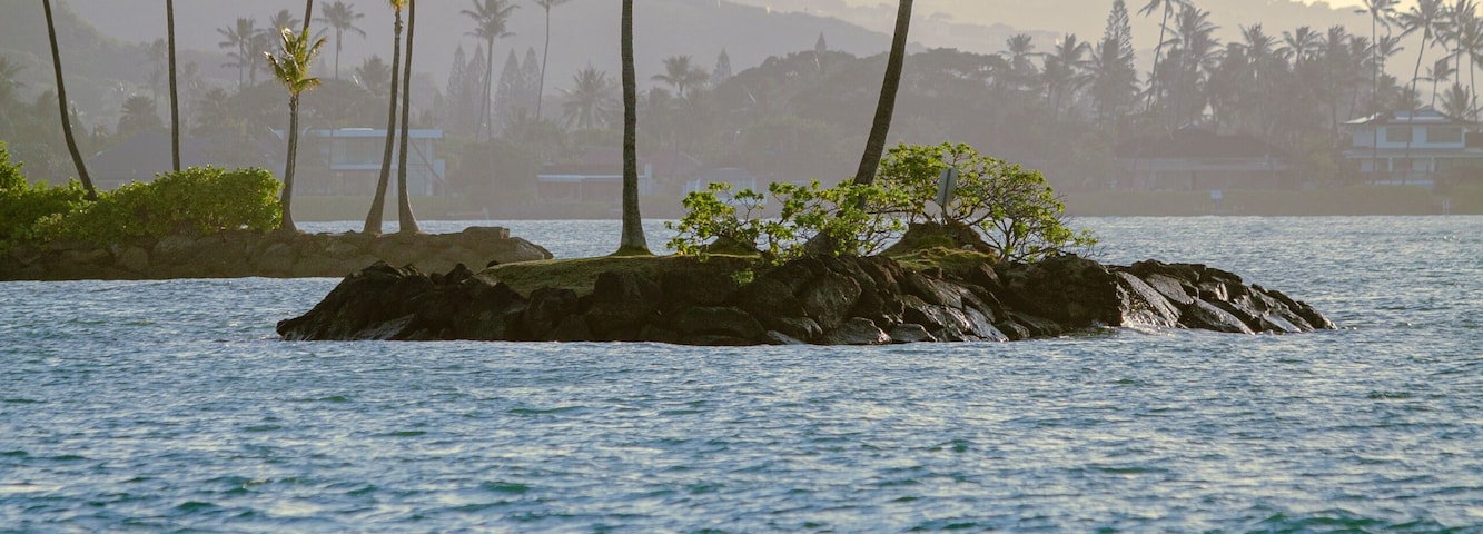 Little Island Fun
#seascapephotography #landscape #travel #photo #fotó #Foto #beautiful #Wow #photography #peaceful #peace #sky #palms #hawaii2019 #waves #beachlife #beach #Island #hawaiistagram #paradise #tropical #HI #potd #PhotoOfTheDay #clouds #canonusa #canon #canonfavpic