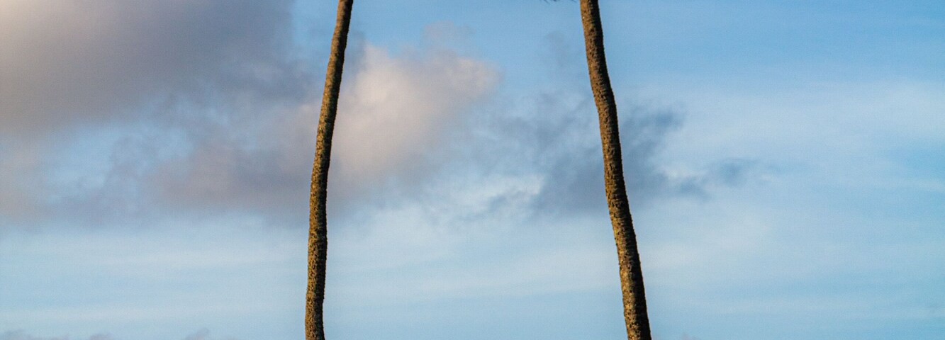 A Piece of Peace
#seascapephotography #landscape #travel #photo #fotó #Foto #bench #beautiful #Wow #photography #peaceful #peace #sky #palms #hawaii2019 #Luxury #waves #beachlife #beach #HIlife #poft #hawaiianlife #paradise #tropical #HI #PhotoOfTheDay #clouds #canonusa #canon
