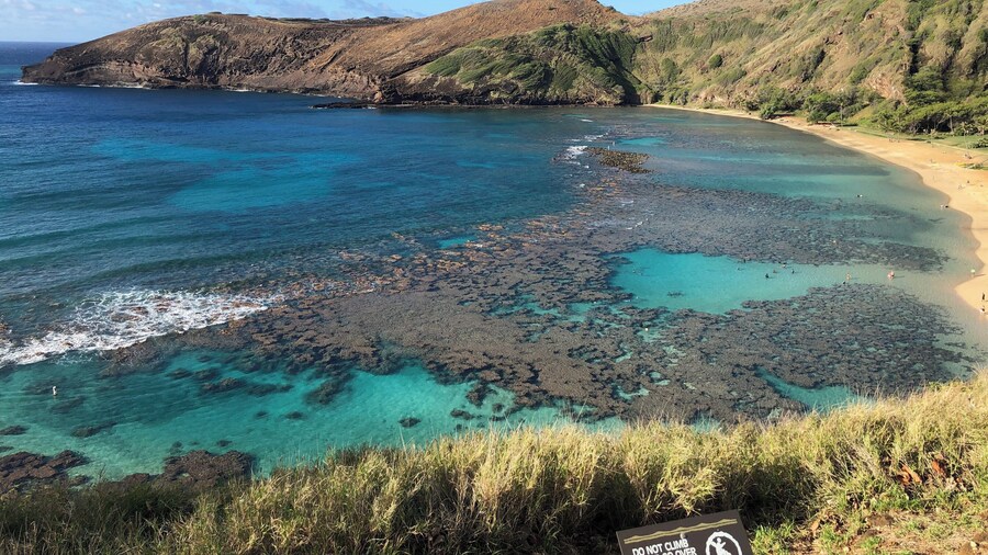 Great place for swimming and amazing views 🙌🏼