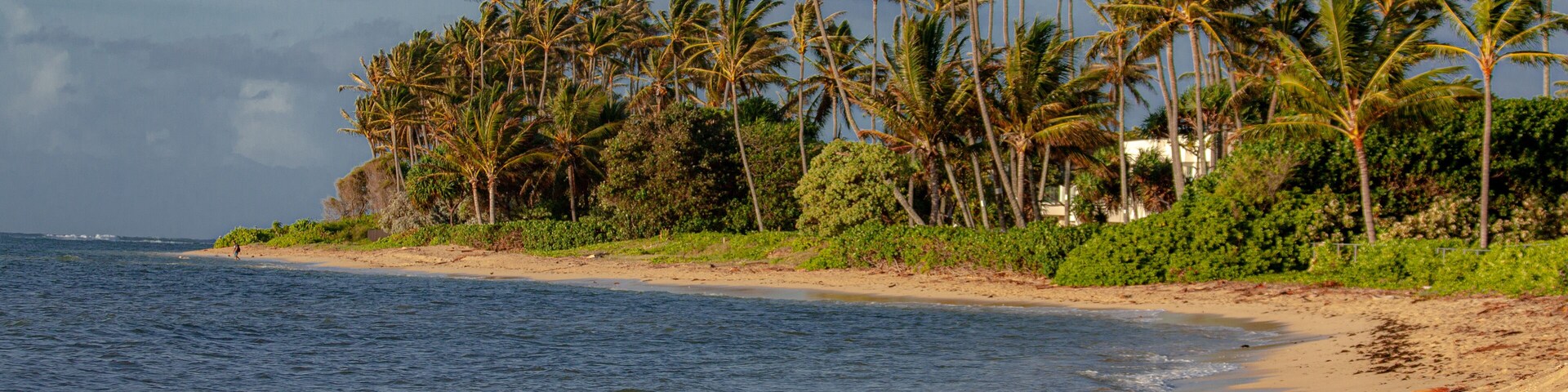 Take A Stroll
#seascapephotography #landscape #travel #photo #fotó #Foto #beautiful #Wow #photography #sky #palms #hawaii2019 #waves #beachlife #AlohaFriday #havealohawillteavel #beach #Island #hawaiistagram #paradise #tropical #HI #potd #PhotoOfTheDay #clouds #canonusa #Canon