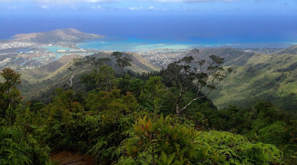 Kuliouou - Kalani Iki