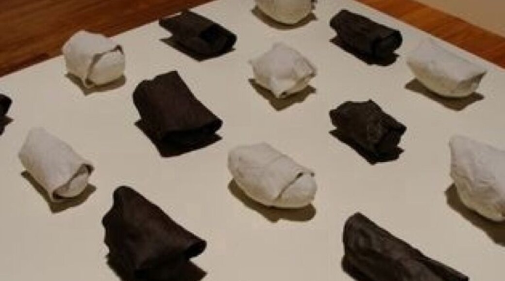 Fossil 2002 Hawaii IV by Bin Lu
These items are "fossils" of everyday objects rendered in ceramic. Come see them for free at the Hawaii State Art Museum.