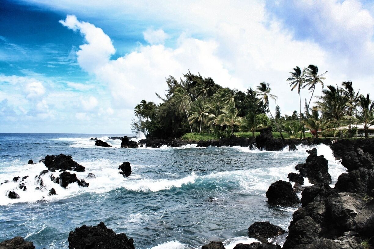 A rocky coastline with waves crashing against the shore, palm trees, and a clear sky.