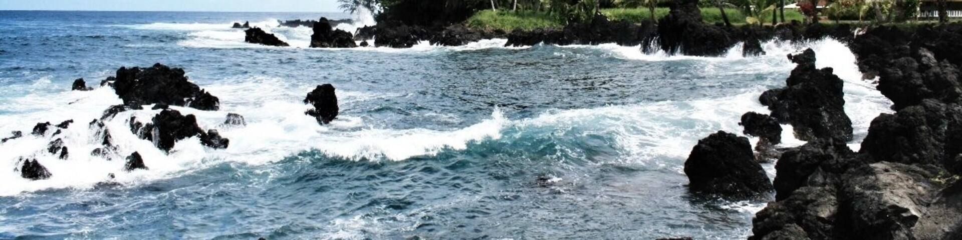 A rocky coastline with waves crashing against the shore, palm trees, and a clear sky.