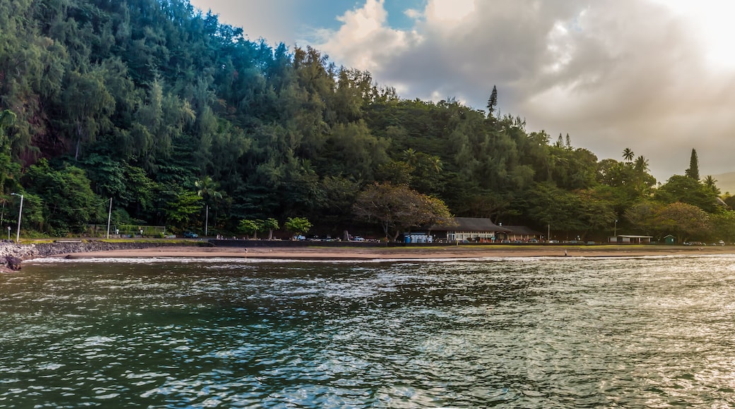 Hana Town Acrross Hana Bay, Hana Bay Beach Park, Hawaii, USA