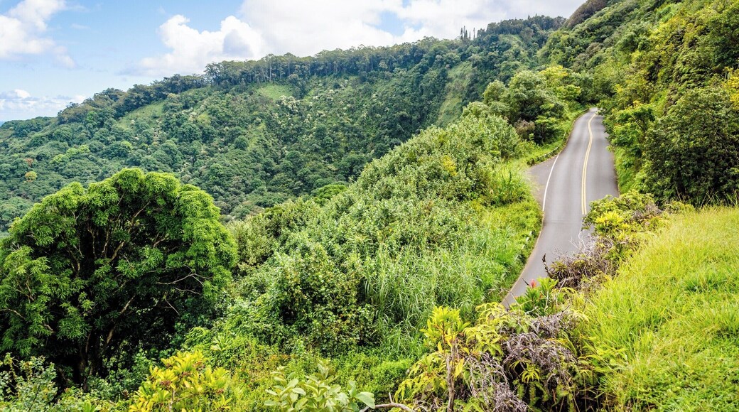 The Road to Hana trip is a must-do in Maui. Dozens of waterfalls and incredible views all the way from Paia to Hana with over 600 turns on this narrow windy road. #lifeatexpedia #roadtohana #ontheroad