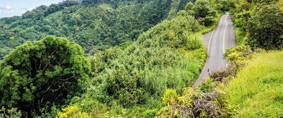 The Road to Hana trip is a must-do in Maui. Dozens of waterfalls and incredible views all the way from Paia to Hana with over 600 turns on this narrow windy road. #lifeatexpedia #roadtohana #ontheroad