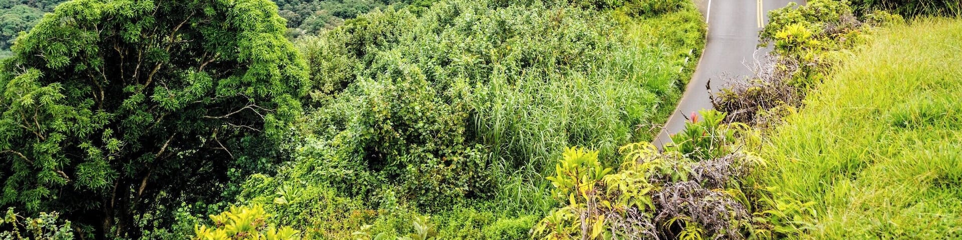 The Road to Hana trip is a must-do in Maui. Dozens of waterfalls and incredible views all the way from Paia to Hana with over 600 turns on this narrow windy road. #lifeatexpedia #roadtohana #ontheroad
