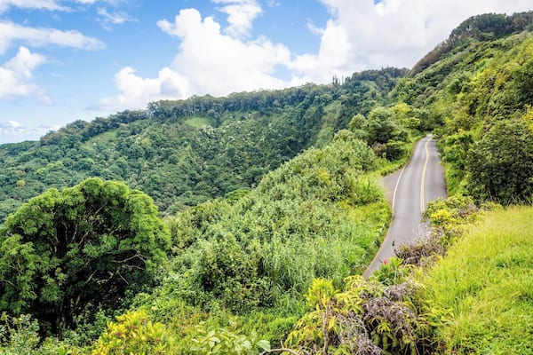 The Road to Hana trip is a must-do in Maui. Dozens of waterfalls and incredible views all the way from Paia to Hana with over 600 turns on this narrow windy road. #lifeatexpedia #roadtohana #ontheroad