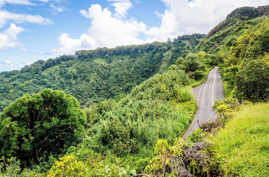 The Road to Hana trip is a must-do in Maui. Dozens of waterfalls and incredible views all the way from Paia to Hana with over 600 turns on this narrow windy road. #lifeatexpedia #roadtohana #ontheroad