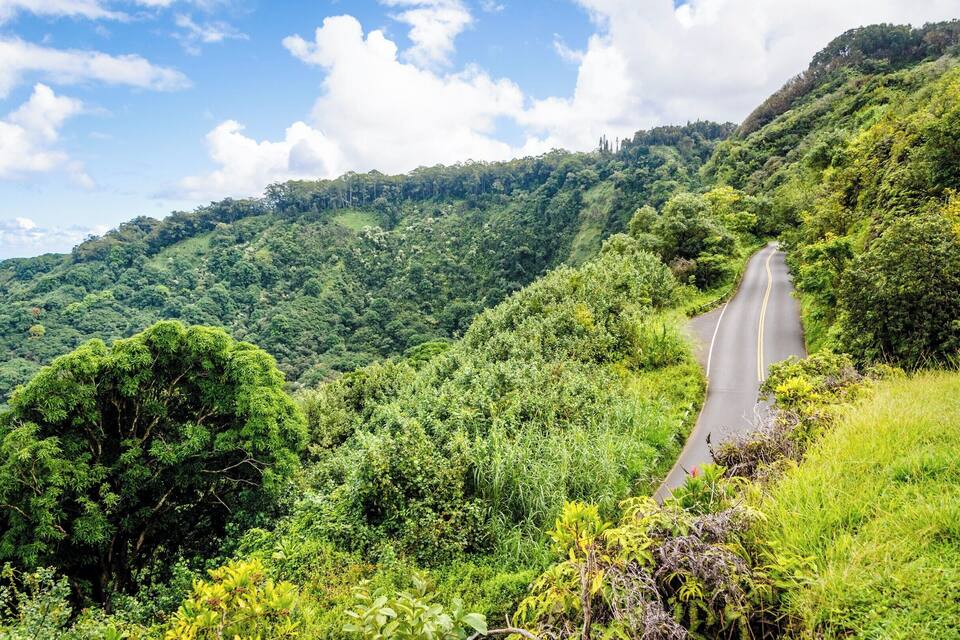 A winding mountain road surrounded by lush greenery and dense forest.