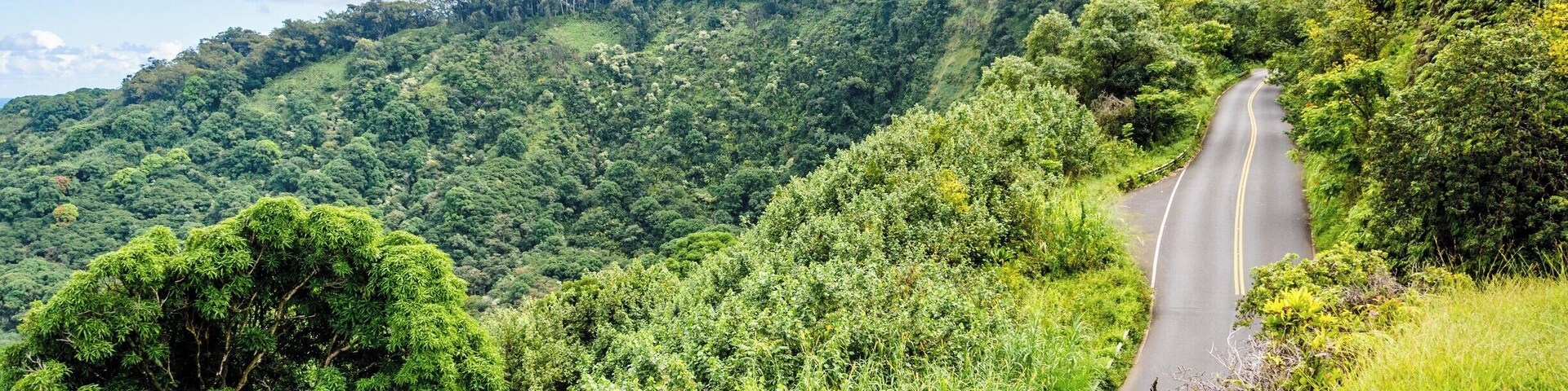 The Road to Hana trip is a must-do in Maui. Dozens of waterfalls and incredible views all the way from Paia to Hana with over 600 turns on this narrow windy road. #lifeatexpedia #roadtohana #ontheroad