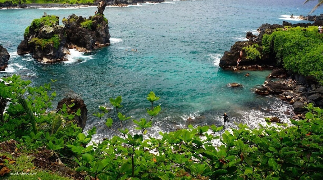 Black sand beach, blow hole, caves and beautiful views all around. Take your time and explore. #beach #Kahanu #Maui #Hawaii #Waianapanapa #UnitedStates #USA #AquaTrove http://www.acooknotmad.com/2014/07/kahanu-garden.html