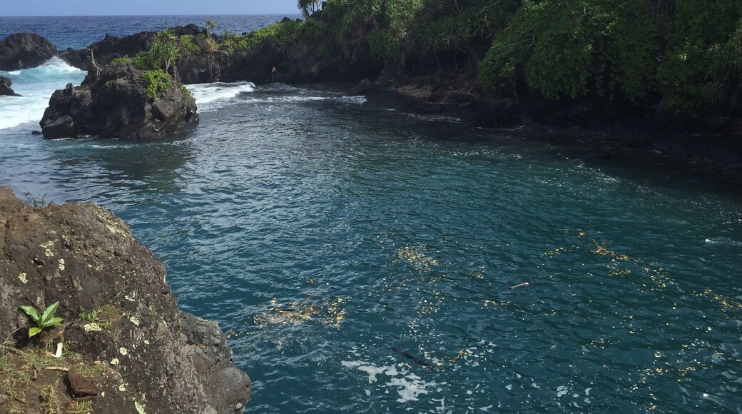 We had a blast jumping off the cliffs at the Venus Pool on our way to Hana.