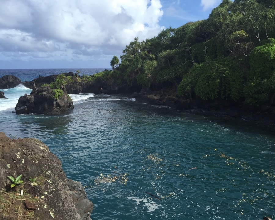 We had a blast jumping off the cliffs at the Venus Pool on our way to Hana.