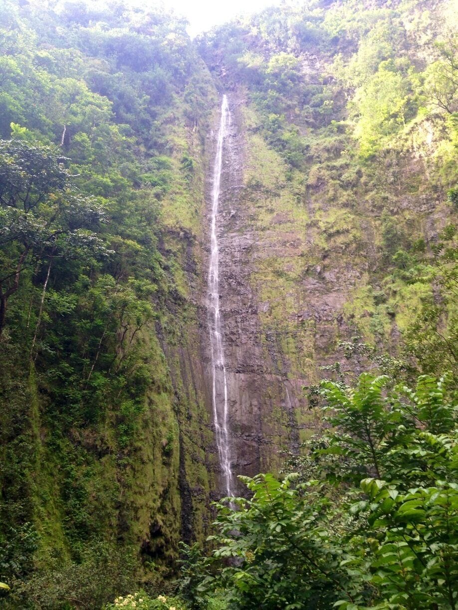 The Spectacular WAIOMA Falls... Takes more or less 2 hours/1.8 miles, 800 ft elevation of  trail hike at Pipiwai trail , Haleakala National Park, Maui.