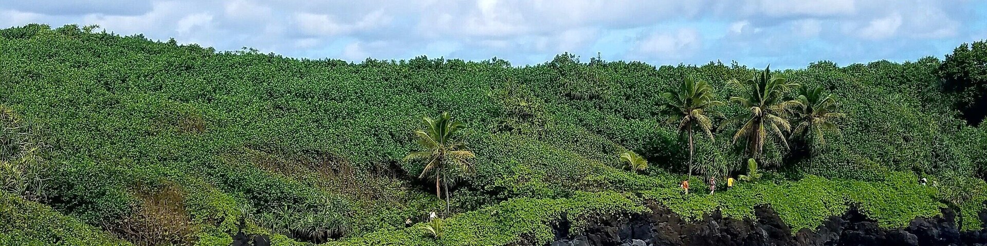 #BeachBound
If I wasn't there, myself, I would never believe it was real!