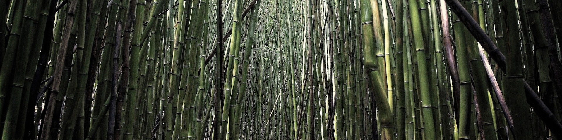 Great Hike in Maui. Long drive (but beautiful)