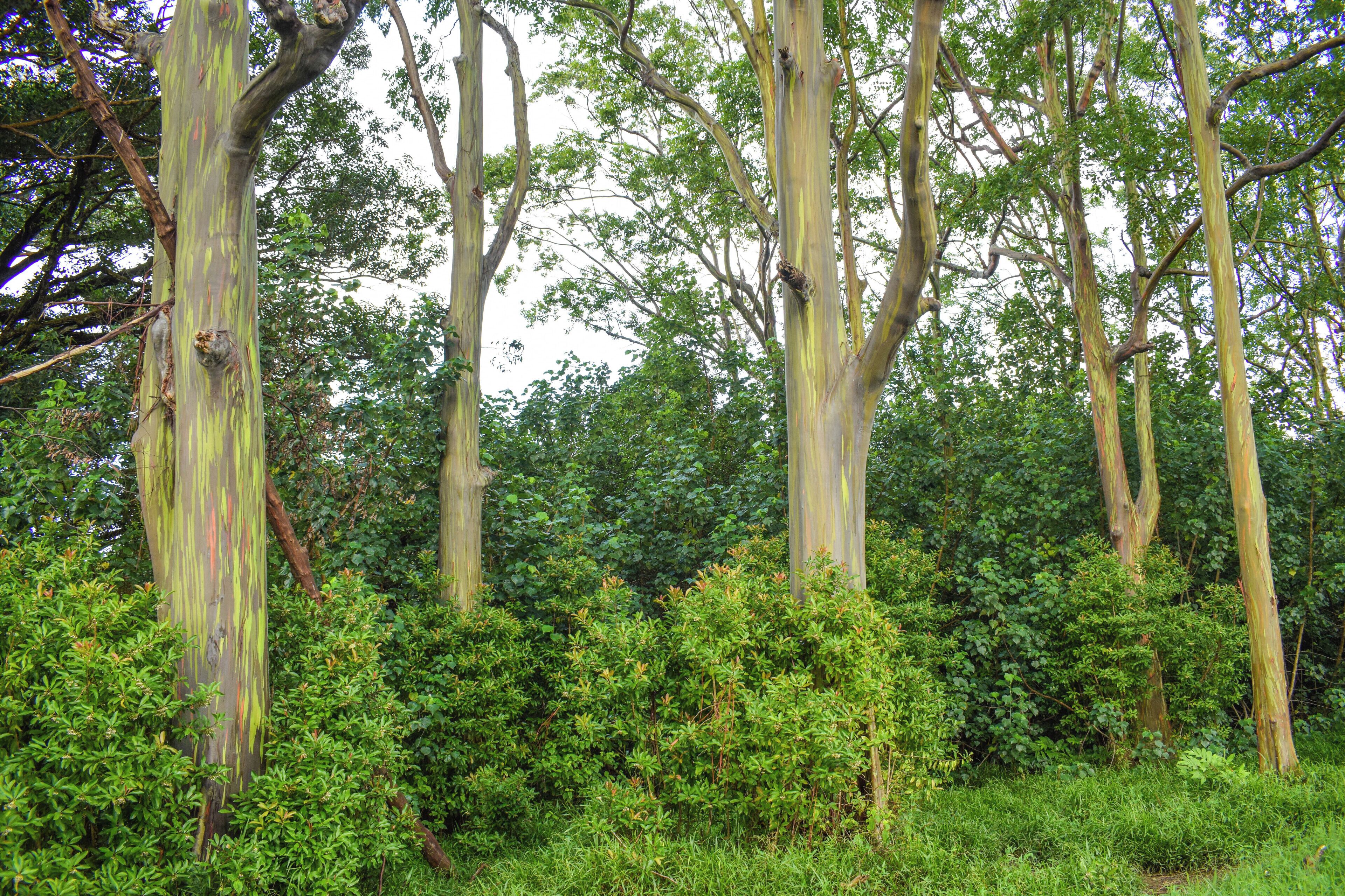 #OrbitzTravel
#daegu