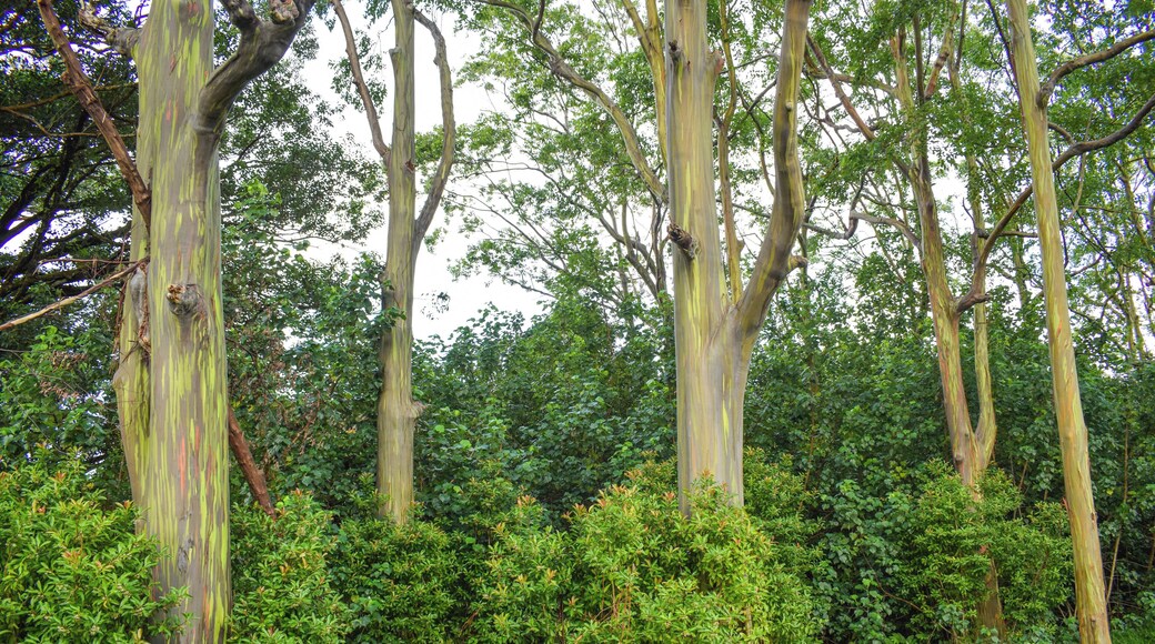 #OrbitzTravel
#daegu