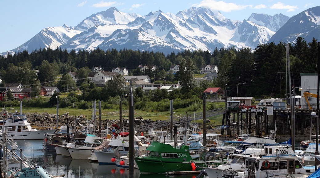 Haines qui includes baie ou port, montagnes et marina